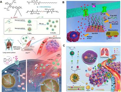 Recent Progress of Novel Nanotechnology Challenging the Multidrug Resistance of Cancer